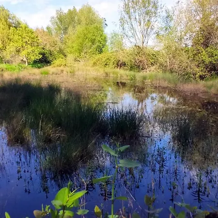 Du Bois Richer 4 Etoiles Avec Piscine * Fougere (Maine-et-Loire)