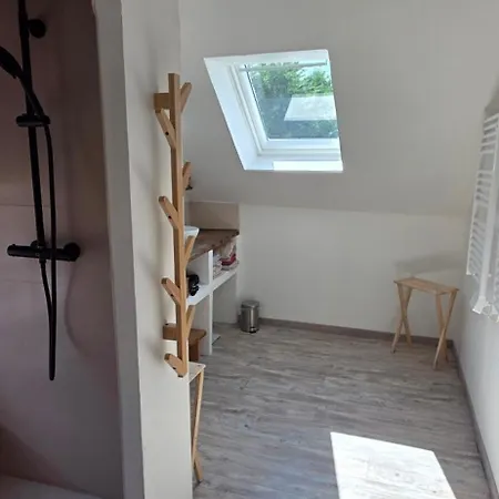 Du Bois Richer 4 Etoiles Avec Piscine Holiday home Fougere (Maine-et-Loire)