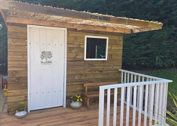 Casa vacanze Du Bois Richer 4 étoiles Avec Piscine Fougere (Maine-et-Loire)